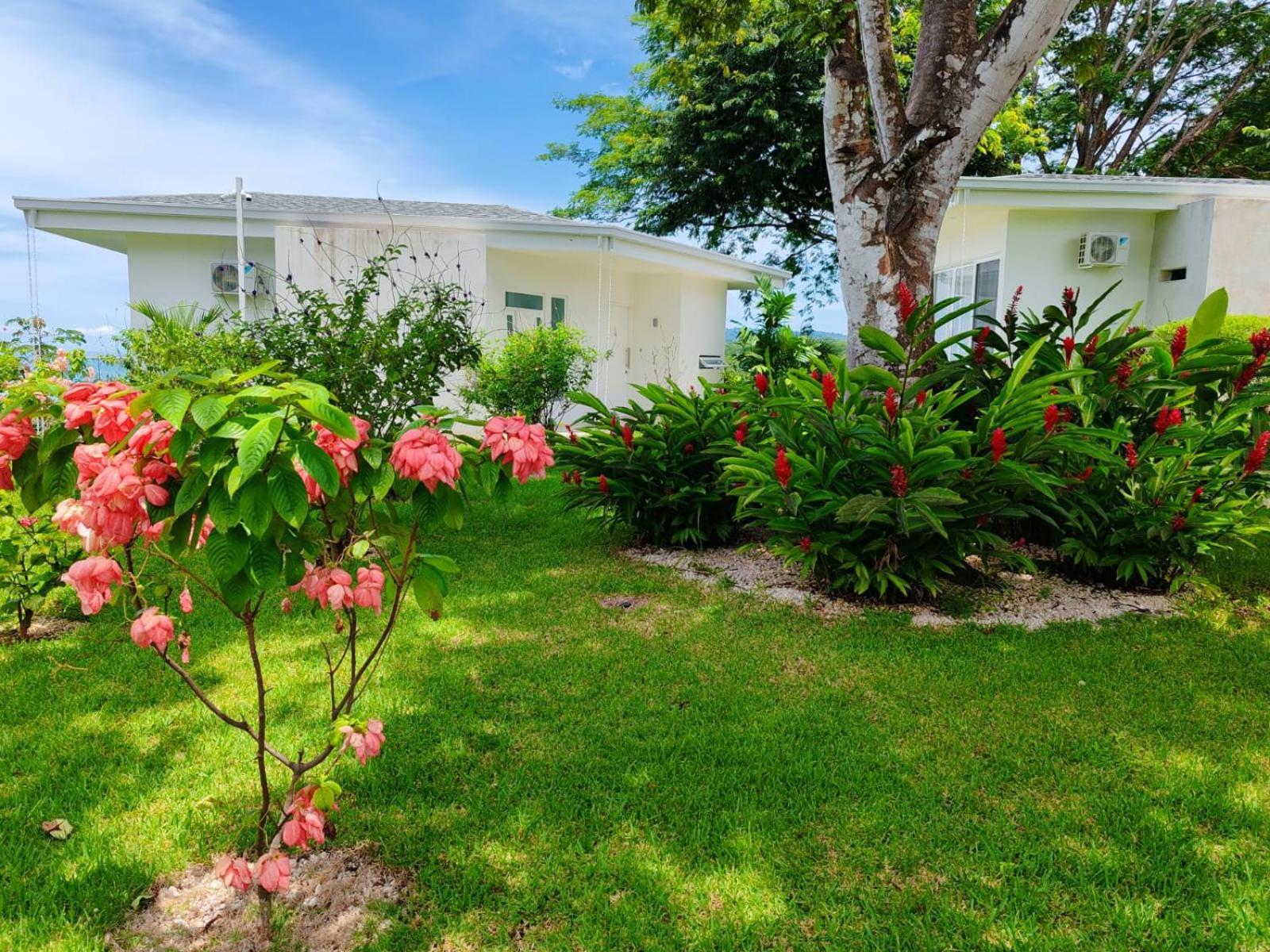 Adeluna Luxury Villas Montezuma Exteriér fotografie